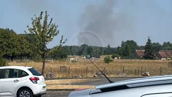 Incendie à Vineuil - Loir-et-Cher - 12 juillet 2026 - Feux de forêts et d'espaces naturels