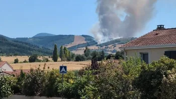 Incendie à Farnay - Loire - 12 juillet 2026 - Feux de forêts et d'espaces naturels