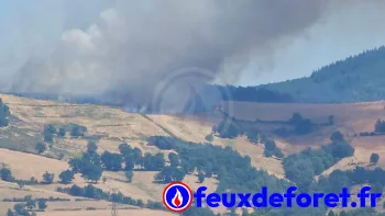 Incendie à Farnay - Loire - 12 juillet 2026 - Feux de forêts et d'espaces naturels