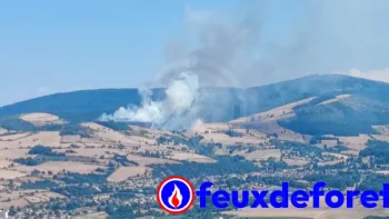 Incendie à Farnay - Loire - 12 juillet 2026 - Feux de forêts et d'espaces naturels