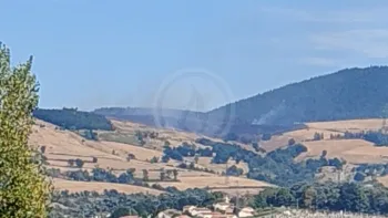 Incendie à Farnay - Loire - 12 juillet 2026 - Feux de forêts et d'espaces naturels