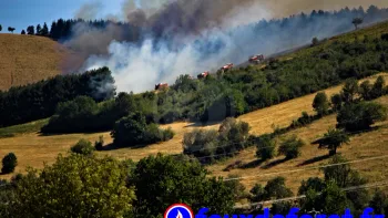 Incendie à Farnay - Loire - 12 juillet 2026 - Feux de forêts et d'espaces naturels