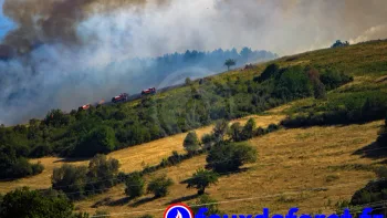 Incendie à Farnay - Loire - 12 juillet 2026 - Feux de forêts et d'espaces naturels