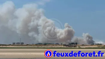 Incendie à Port-Bail-sur-Mer - Manche - 12 juillet 2026 - Feux de forêts et d'espaces naturels