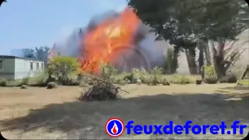 Incendie à Port-Bail-sur-Mer - Manche - 12 juillet 2026 - Feux de forêts et d'espaces naturels