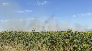 Incendie à Les Écrennes - Seine-et-Marne - 12 juillet 2026 - Feux de forêts et d'espaces naturels