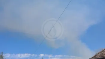 Incendie à Les Écrennes - Seine-et-Marne - 12 juillet 2026 - Feux de forêts et d'espaces naturels