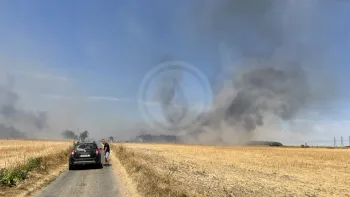 Incendie à Les Écrennes - Seine-et-Marne - 12 juillet 2026 - Feux de forêts et d'espaces naturels