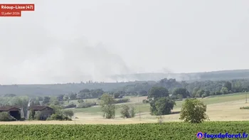 Incendie à Réaup-Lisse - Lot-et-Garonne - 12 juillet 2026 - Feux de forêts et d'espaces naturels
