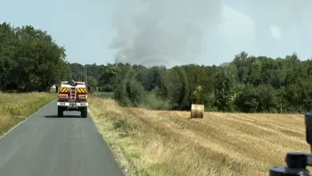 Incendie à Siorac-de-Ribérac - Dordogne - 12 juillet 2026 - Feux de forêts et d'espaces naturels