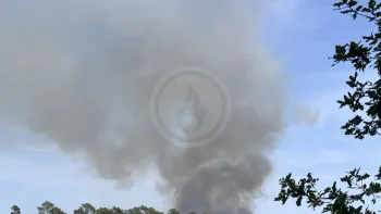 Incendie à Siorac-de-Ribérac - Dordogne - 12 juillet 2026 - Feux de forêts et d'espaces naturels
