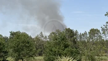 Incendie à Siorac-de-Ribérac - Dordogne - 12 juillet 2026 - Feux de forêts et d'espaces naturels