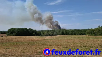Incendie à Siorac-de-Ribérac - Dordogne - 12 juillet 2026 - Feux de forêts et d'espaces naturels