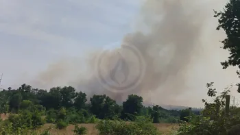 Incendie à Siorac-de-Ribérac - Dordogne - 12 juillet 2026 - Feux de forêts et d'espaces naturels
