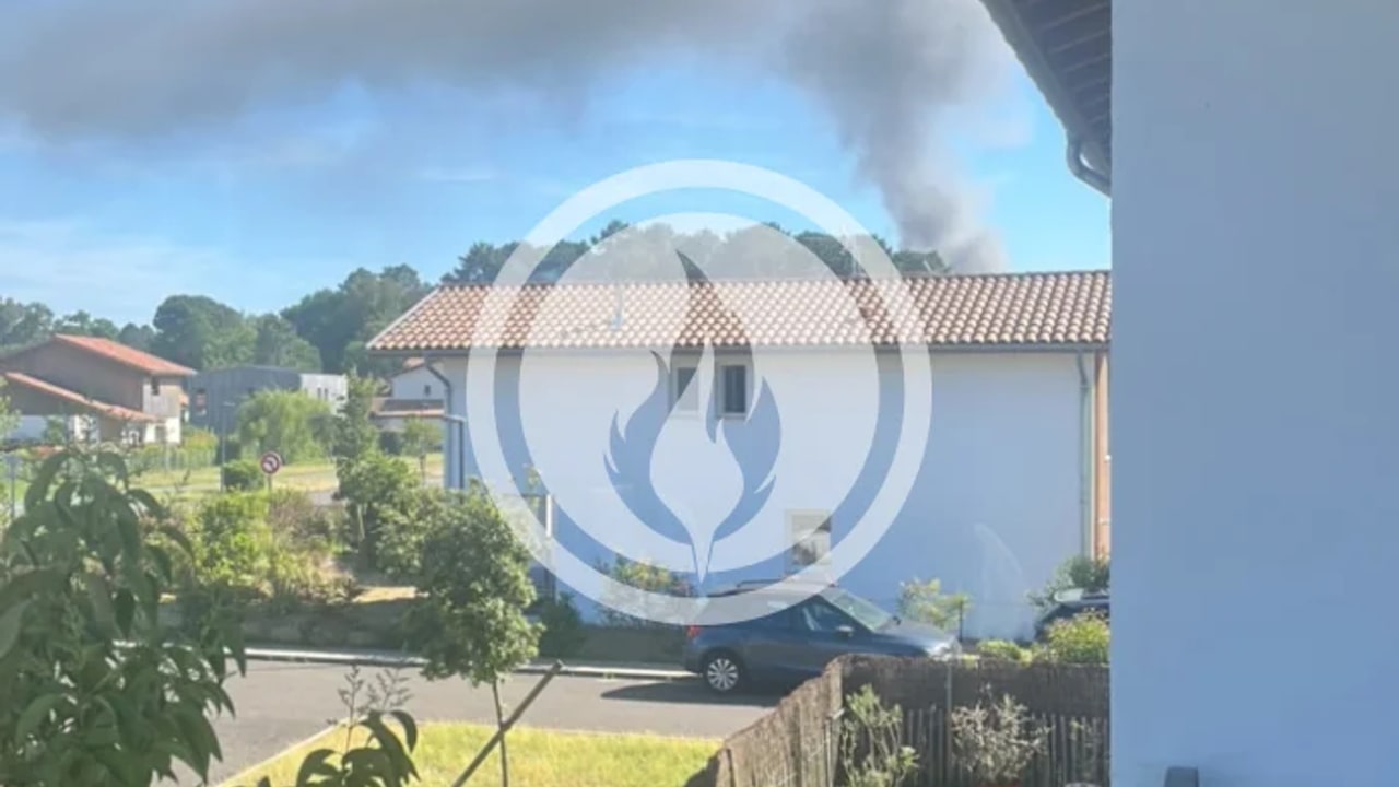 Incendie à Seignosse - Landes - 23 mai 2026 - Feux de forêts et d'espaces naturels