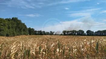 Incendie à Le Poiré-sur-Vie - Vendée - 12 juillet 2026 - Feux de forêts et d'espaces naturels