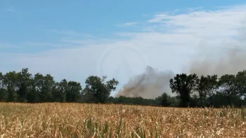 Incendie à Le Poiré-sur-Vie - Vendée - 12 juillet 2026 - Feux de forêts et d'espaces naturels