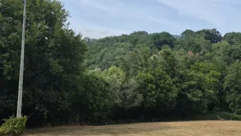 Incendie à Monestiés - Tarn - 12 juillet 2026 - Feux de forêts et d'espaces naturels