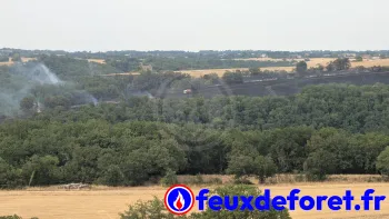 Incendie à Monestiés - Tarn - 12 juillet 2026 - Feux de forêts et d'espaces naturels