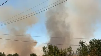 Incendie à Les Hauts-d'Anjou - Maine-et-Loire - 12 juillet 2026 - Feux de forêts et d'espaces naturels