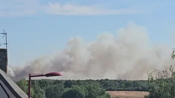 Incendie à Les Hauts-d'Anjou - Maine-et-Loire - 12 juillet 2026 - Feux de forêts et d'espaces naturels