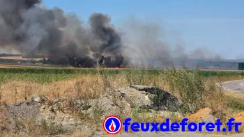 Incendie à Banthelu - Val-d'Oise - 12 juillet 2026 - Feux de forêts et d'espaces naturels