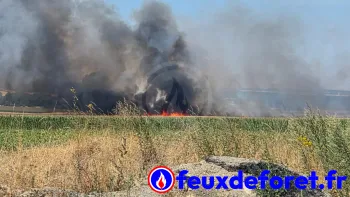 Incendie à Banthelu - Val-d'Oise - 12 juillet 2026 - Feux de forêts et d'espaces naturels