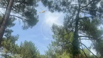 Incendie à Mérignac - Gironde - 12 juillet 2026 - Feux de forêts et d'espaces naturels
