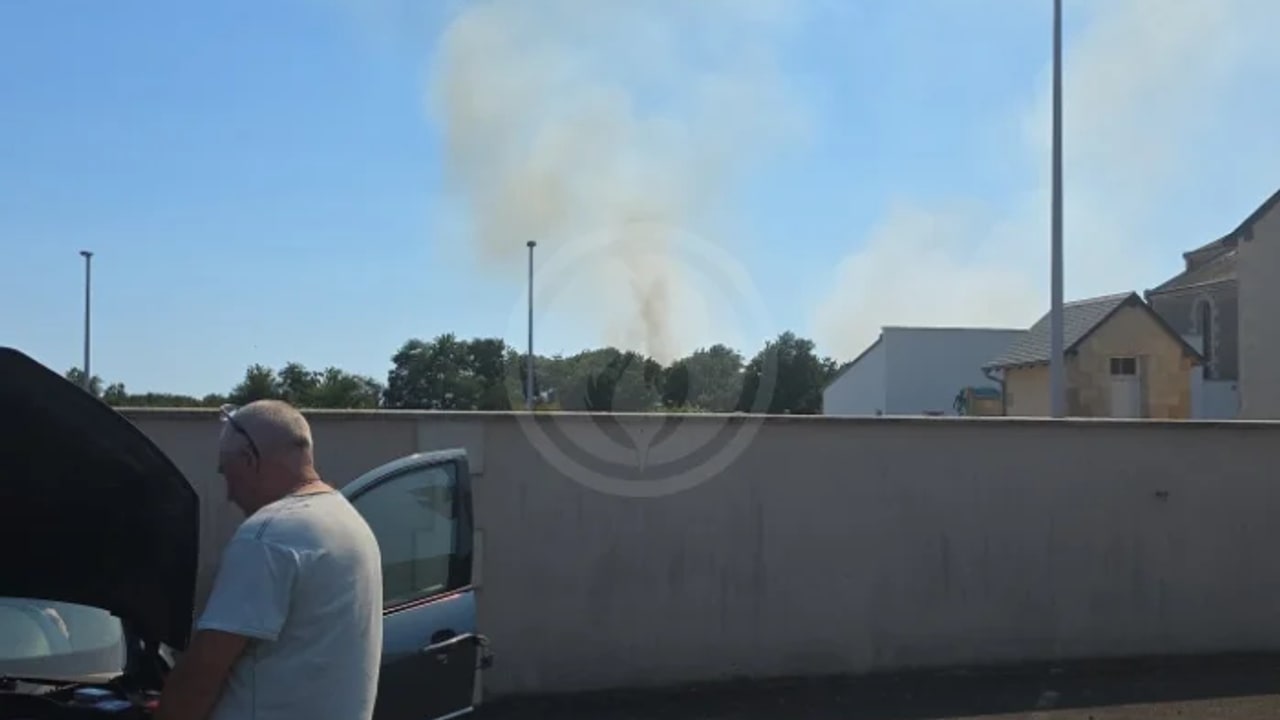 Incendie à Château-Garnier - Vienne - 17 juin 2026 - Feux de forêts et d'espaces naturels