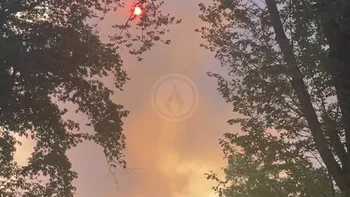 Incendie à Achères-la-Forêt - Seine-et-Marne - 12 juillet 2026 - Feux de forêts et d'espaces naturels