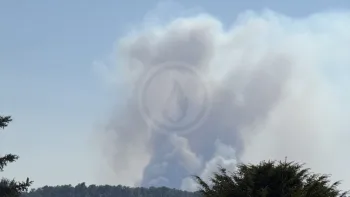 Incendie à Achères-la-Forêt - Seine-et-Marne - 12 juillet 2026 - Feux de forêts et d'espaces naturels
