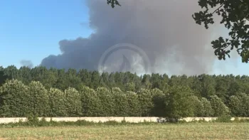 Incendie à Achères-la-Forêt - Seine-et-Marne - 12 juillet 2026 - Feux de forêts et d'espaces naturels