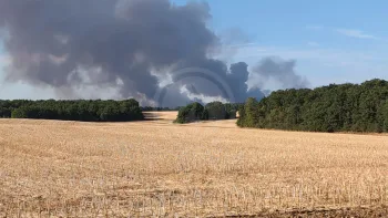 Incendie à Achères-la-Forêt - Seine-et-Marne - 12 juillet 2026 - Feux de forêts et d'espaces naturels