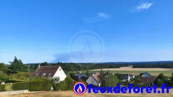 Incendie à Achères-la-Forêt - Seine-et-Marne - 12 juillet 2026 - Feux de forêts et d'espaces naturels