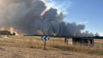 Incendie à Achères-la-Forêt - Seine-et-Marne - 12 juillet 2026 - Feux de forêts et d'espaces naturels