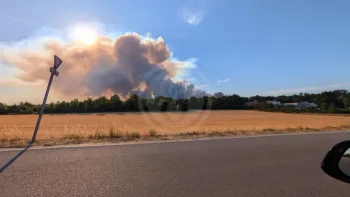 Incendie à Achères-la-Forêt - Seine-et-Marne - 12 juillet 2026 - Feux de forêts et d'espaces naturels