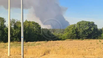 Incendie à Achères-la-Forêt - Seine-et-Marne - 12 juillet 2026 - Feux de forêts et d'espaces naturels