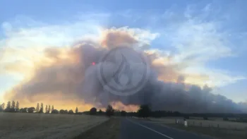 Incendie à Achères-la-Forêt - Seine-et-Marne - 12 juillet 2026 - Feux de forêts et d'espaces naturels