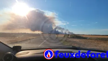 Incendie à Achères-la-Forêt - Seine-et-Marne - 12 juillet 2026 - Feux de forêts et d'espaces naturels