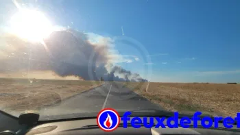 Incendie à Achères-la-Forêt - Seine-et-Marne - 12 juillet 2026 - Feux de forêts et d'espaces naturels