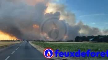 Incendie à Achères-la-Forêt - Seine-et-Marne - 12 juillet 2026 - Feux de forêts et d'espaces naturels