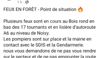 Incendie à Achères-la-Forêt - Seine-et-Marne - 12 juillet 2026 - Feux de forêts et d'espaces naturels