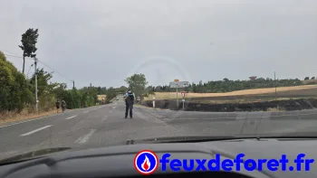 Incendie à Castelnaudary - Aude - 12 juillet 2026 - Feux de forêts et d'espaces naturels