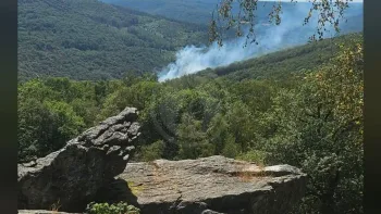 Incendie à Monthermé - Ardennes - 12 juillet 2026 - Feux de forêts et d'espaces naturels