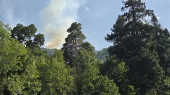 Incendie à Laruns - Pyrénées-Atlantiques - 12 juillet 2026 - Feux de forêts et d'espaces naturels