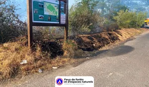 Incendie à Domont (95) : les pompiers interviennent