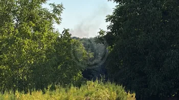 Incendie à Châtillon-sur-Cher - Loir-et-Cher - 12 juillet 2026 - Feux de forêts et d'espaces naturels