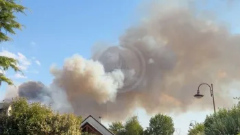 Incendie à Mettray - Indre-et-Loire - 12 juillet 2026 - Feux de forêts et d'espaces naturels