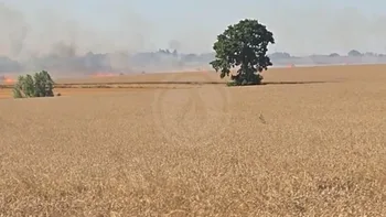 Incendie à Sierville - Seine-Maritime - 12 juillet 2026 - Feux de forêts et d'espaces naturels