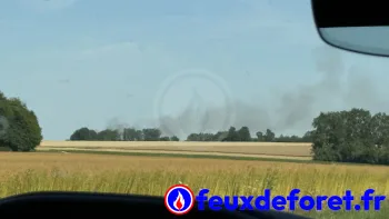 Incendie à Sierville - Seine-Maritime - 12 juillet 2026 - Feux de forêts et d'espaces naturels